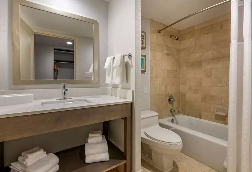 اتاق استاندارد با 2 تخت دوبل, Comfort Inn & Suites Downtown Brickell Port Of Miami