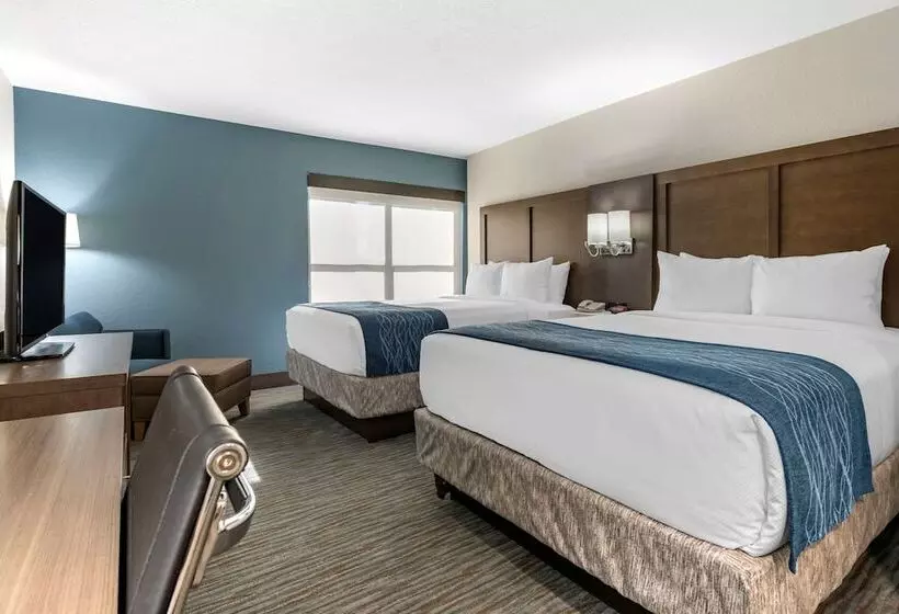 اتاق استاندارد با 2 تخت دوبل, Comfort Inn & Suites Downtown Brickell Port Of Miami