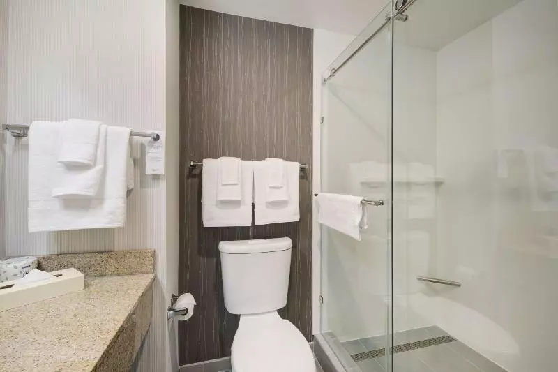 اتاق استاندارد با تخت بزرگ, Courtyard Raleigh Crabtree Valley