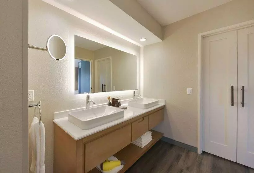 سوئیت با تخت بزرگ, Hyatt Centric Santa Clara Silicon Valley