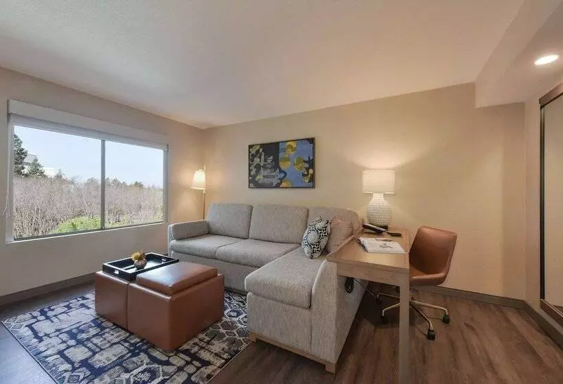 سوییت با چشم‌انداز استخر, Hyatt Centric Santa Clara Silicon Valley