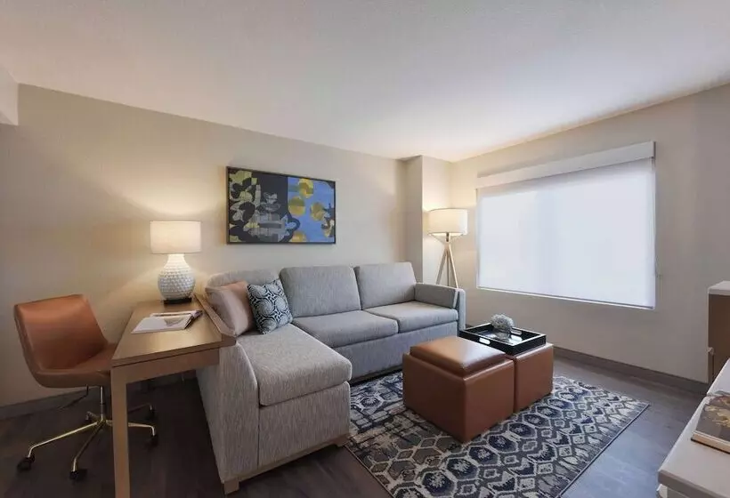 سوییت با چشم‌انداز استخر, Hyatt Centric Santa Clara Silicon Valley