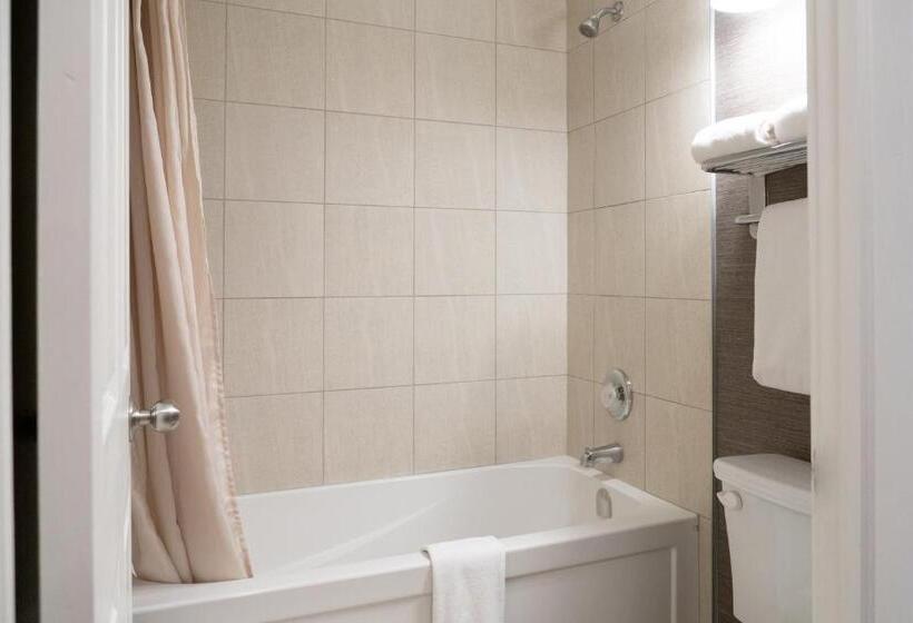 带2个双人床的标准工作室, Irwin's Mountain Inn