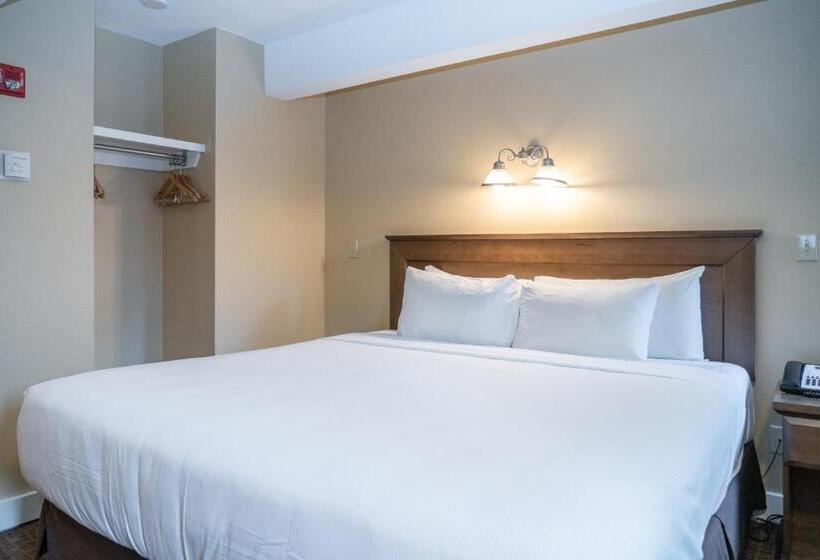 带大床的标准间, Irwin's Mountain Inn