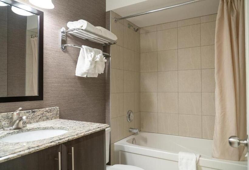 带大床的标准间, Irwin's Mountain Inn