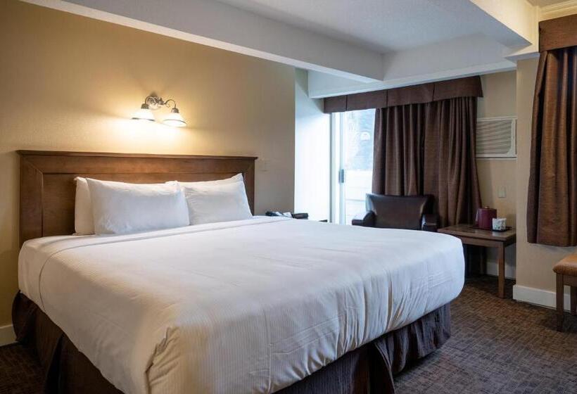 带大床的标准间, Irwin's Mountain Inn