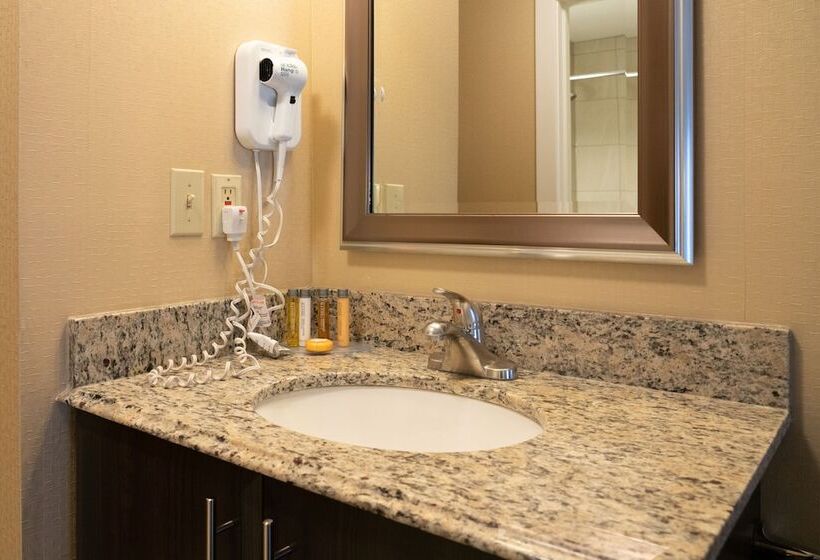 带2个双人床的标准工作室, Irwin's Mountain Inn