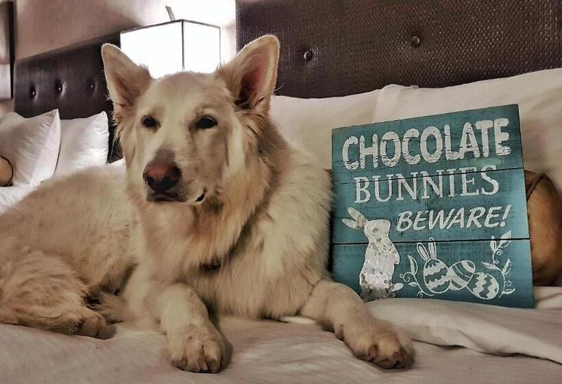 バルコニー付きスタンダードルーム, Prestige Beach House, Worldhotels Crafted