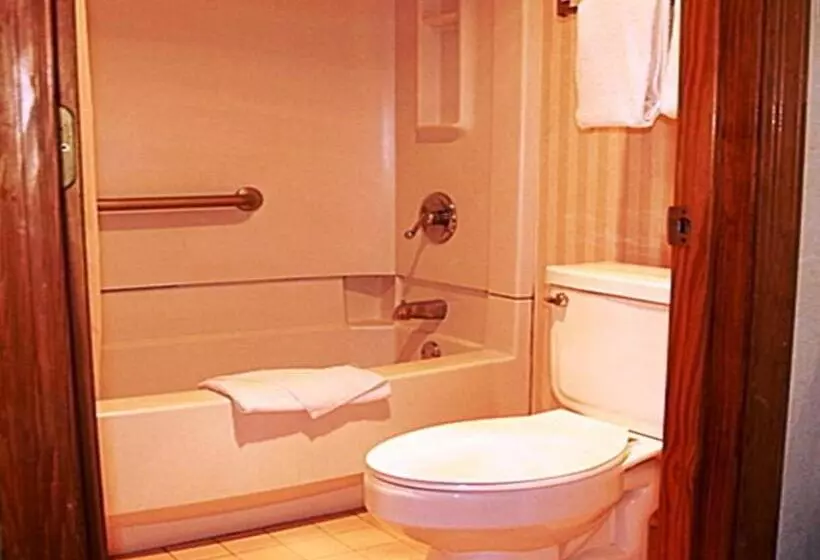 障害者適応デラックスルーム, Regency Inn & Suites