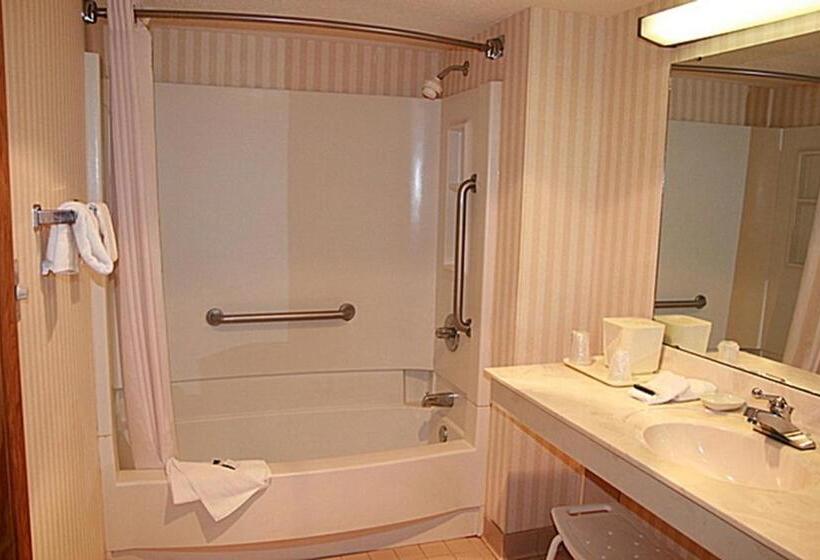 Номер Deluxe Адаптированный для Инвалидов, Regency Inn & Suites