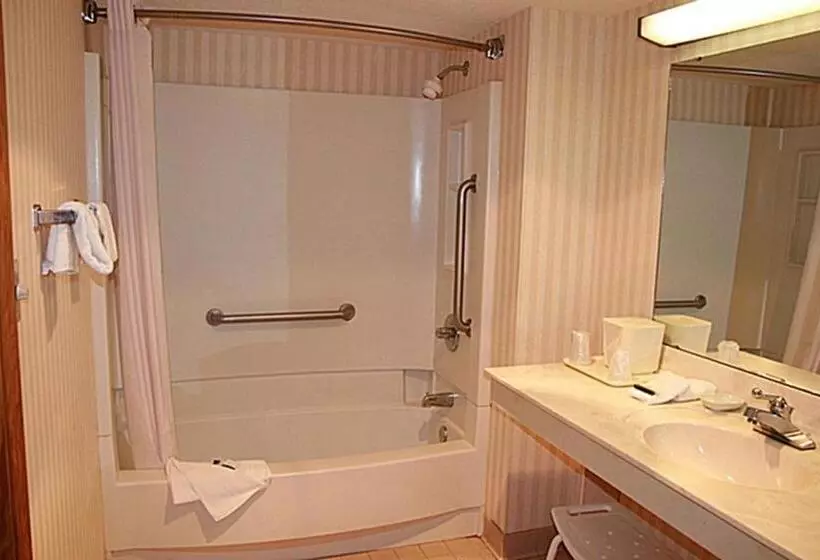 障害者適応デラックスルーム, Regency Inn & Suites