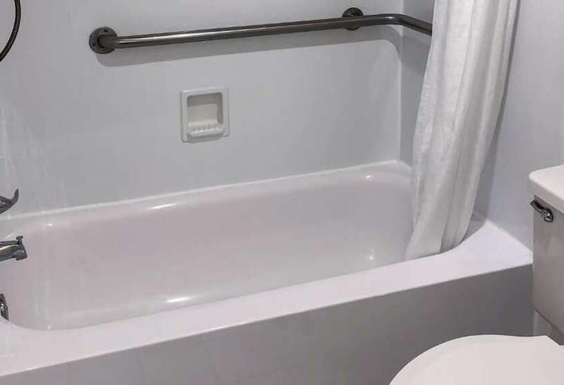 חדר סטנדרט מותאם לאדם עם מוגבלויות, Roadstar Hotel Zephyrhills