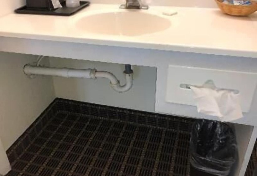 חדר סטנדרט מותאם לאדם עם מוגבלויות, Roadstar Hotel Zephyrhills