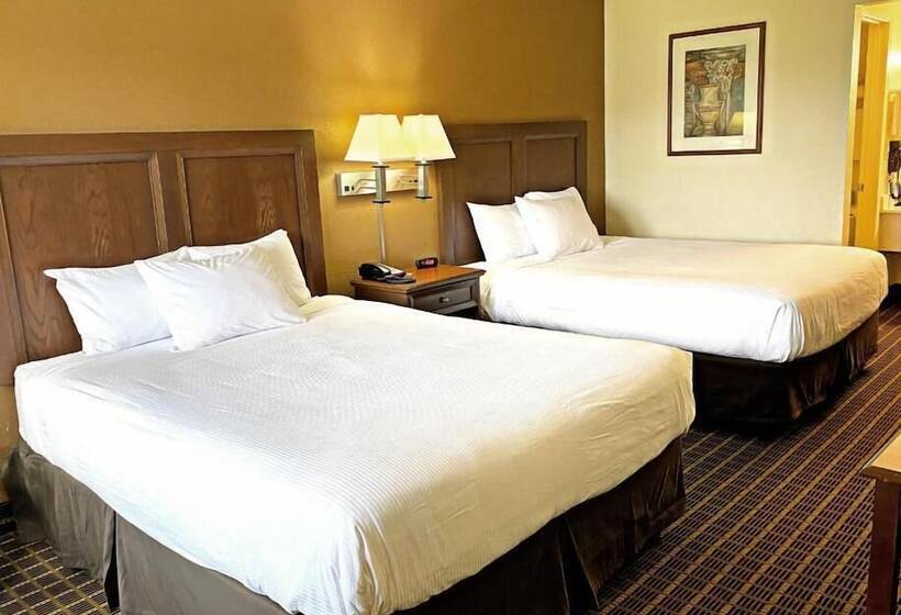 חדר סטנדרט מותאם לאדם עם מוגבלויות, Roadstar Hotel Zephyrhills