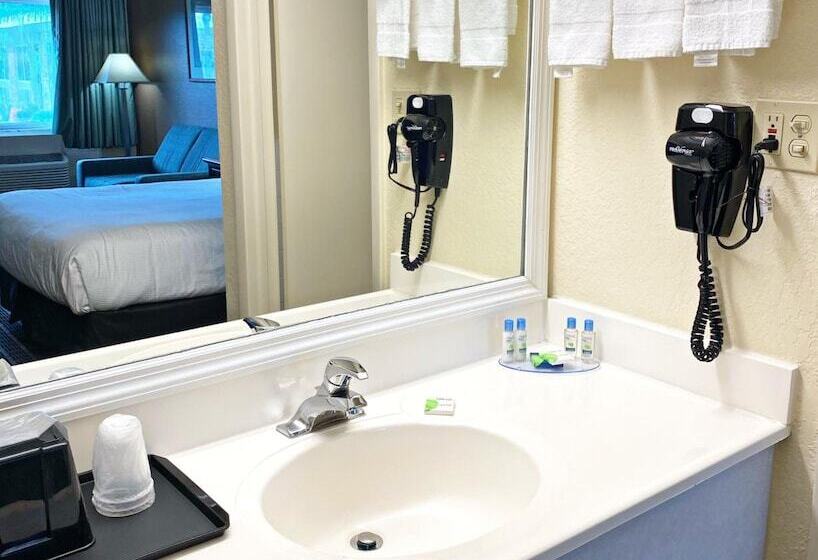 חדר סטנדרט, Roadstar Hotel Zephyrhills