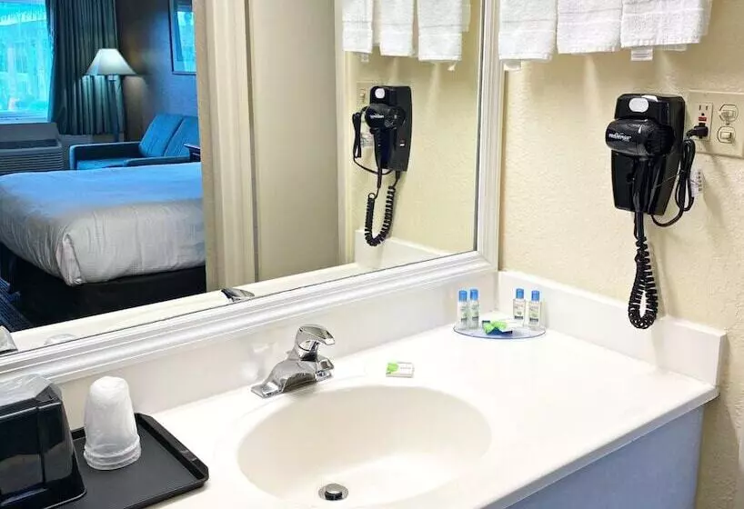スタンダードルーム, Roadstar Hotel Zephyrhills