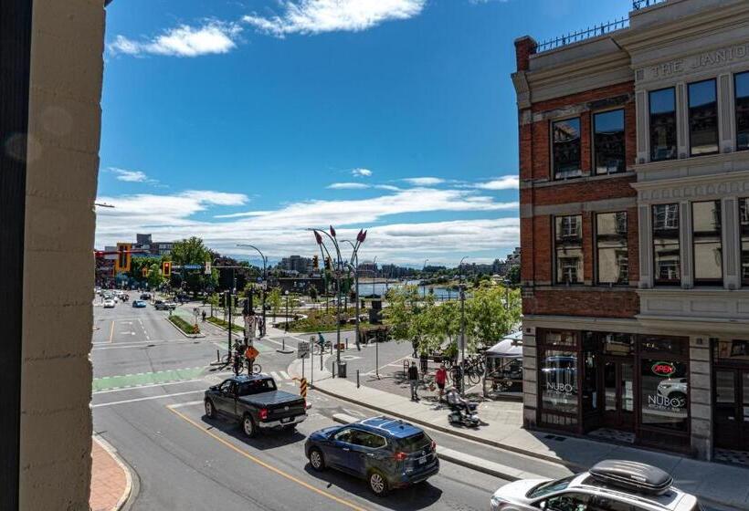 חדר סטודיו סטנדרד, Swans Brewery, Pub &