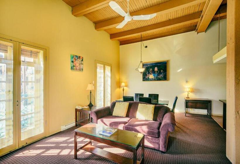 סוויטה, Swans Brewery, Pub &