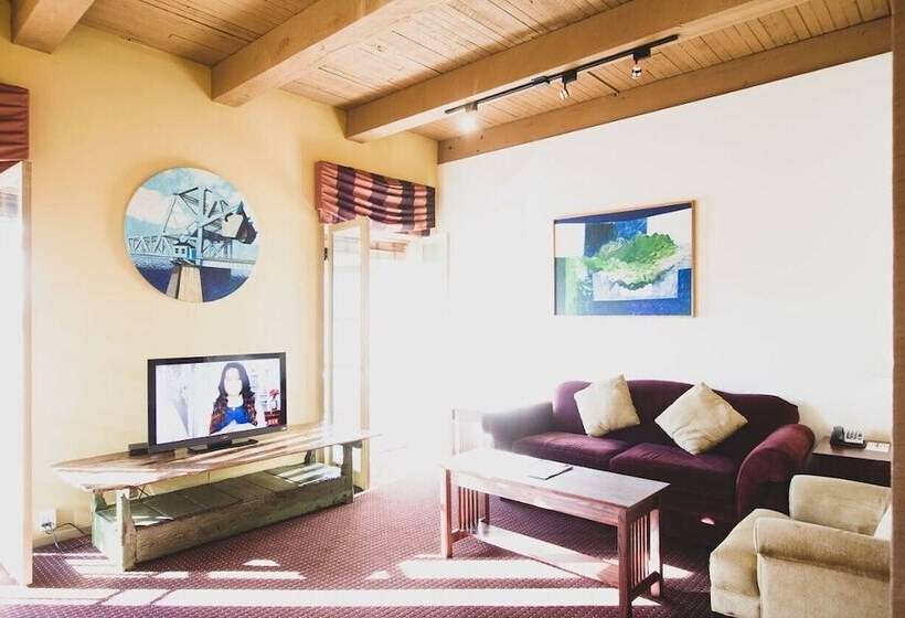 סוויטה, Swans Brewery, Pub &