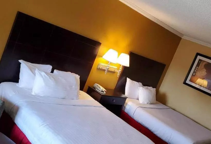 اتاق استاندارد, Sweet Dream Inn
