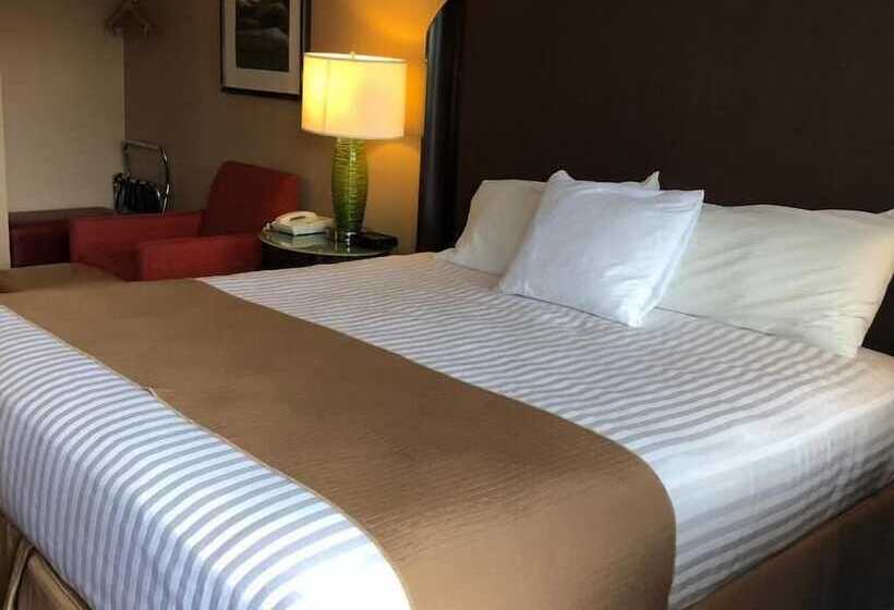 ダブルベッドスタンダードルーム, Coast Courtenay