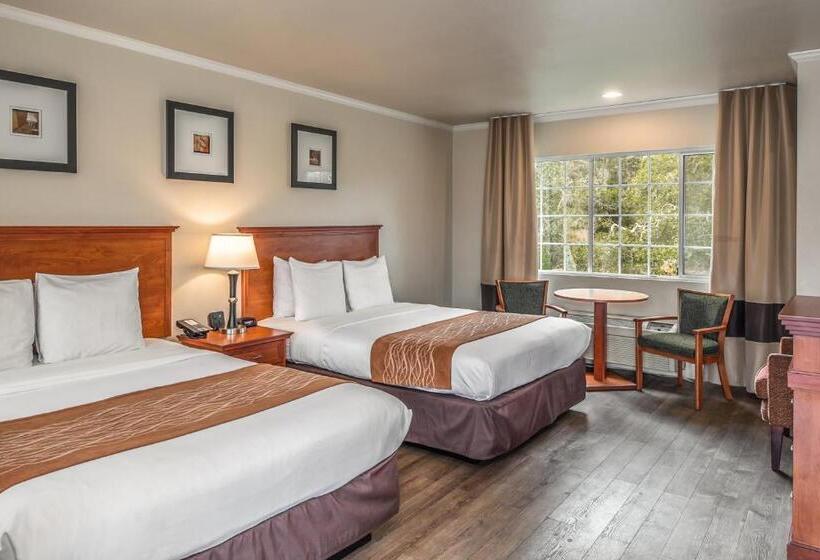 标准间, The Inn At 1252 Monterey