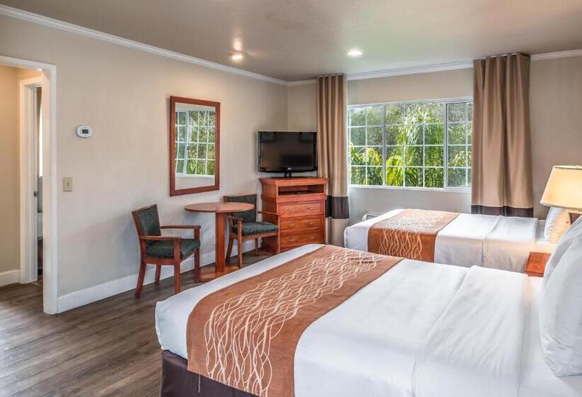 标准间, The Inn At 1252 Monterey