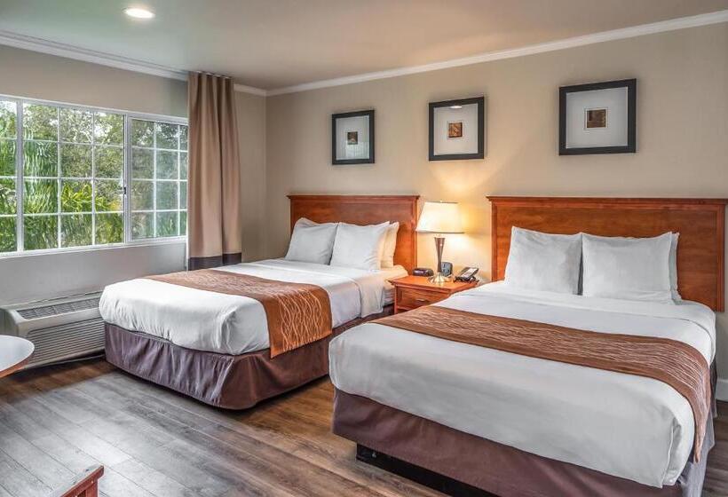 标准间, The Inn At 1252 Monterey