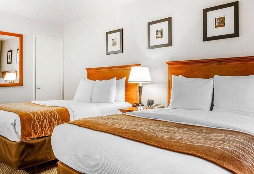 Номер Стандарт 2 Двуспальные Кровати, The Inn At 1252 Monterey