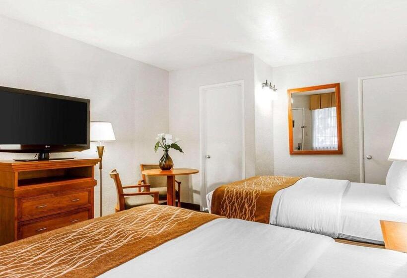 Номер Стандарт 2 Двуспальные Кровати, The Inn At 1252 Monterey