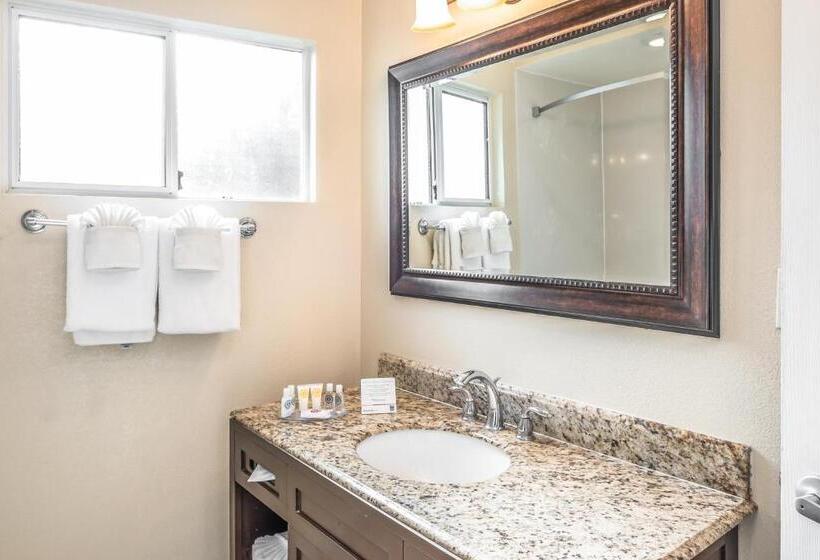 带2个双人床的标准工作室, The Inn At 1252 Monterey