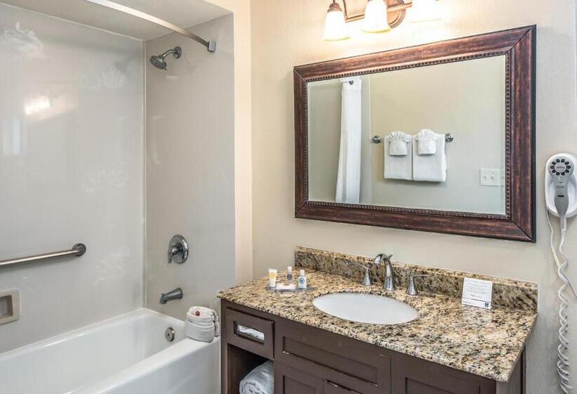 带2个双人床的标准工作室, The Inn At 1252 Monterey