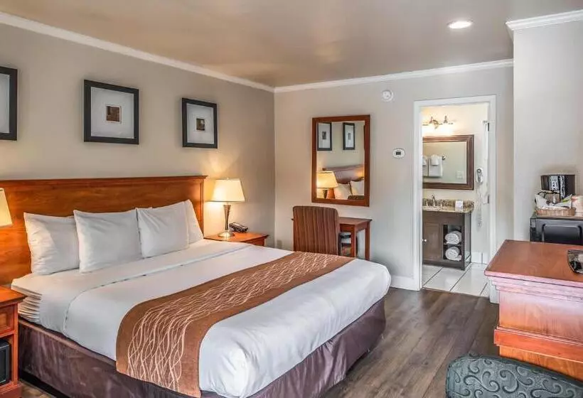 キングサイズベッドのスタンダードルーム, The Inn At 1252 Monterey