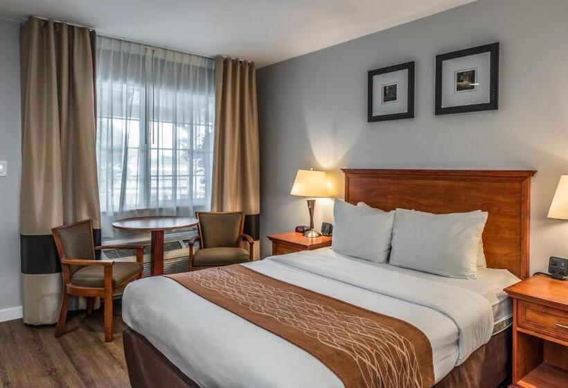 带大床的标准间, The Inn At 1252 Monterey