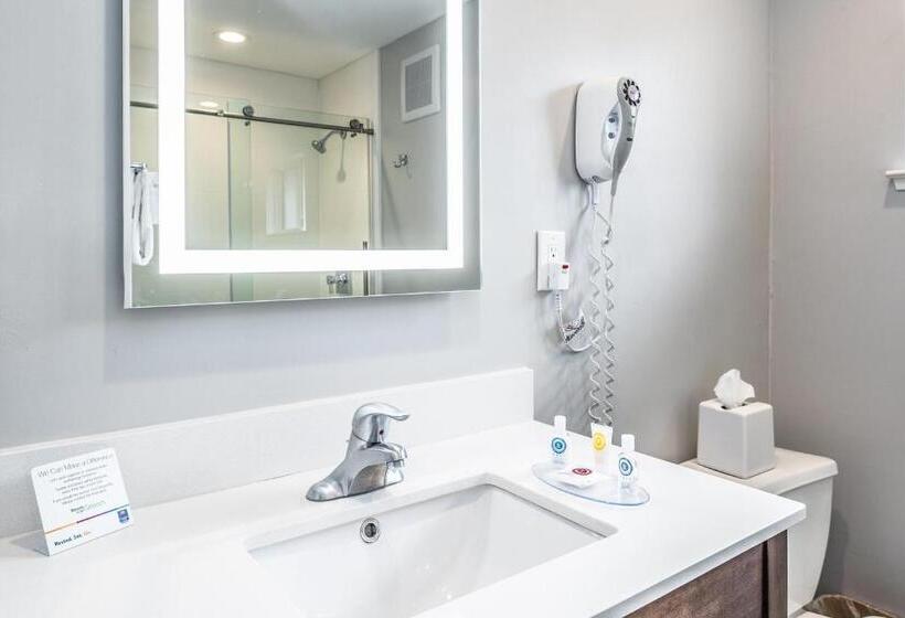 带大床的标准间, The Inn At 1252 Monterey