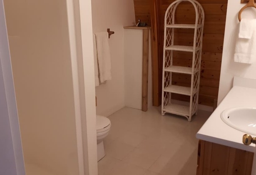 Люкс Ejecutiva 2 Спальни, Mineral Springs Resort