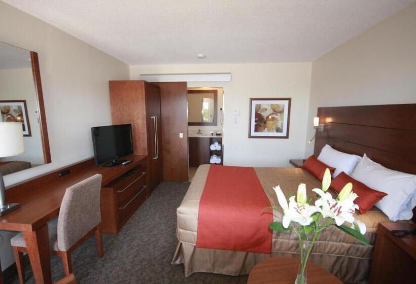 غرفة سوبيريور, Motel Adam