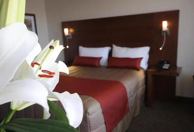 اتاق سوپریور, Motel Adam
