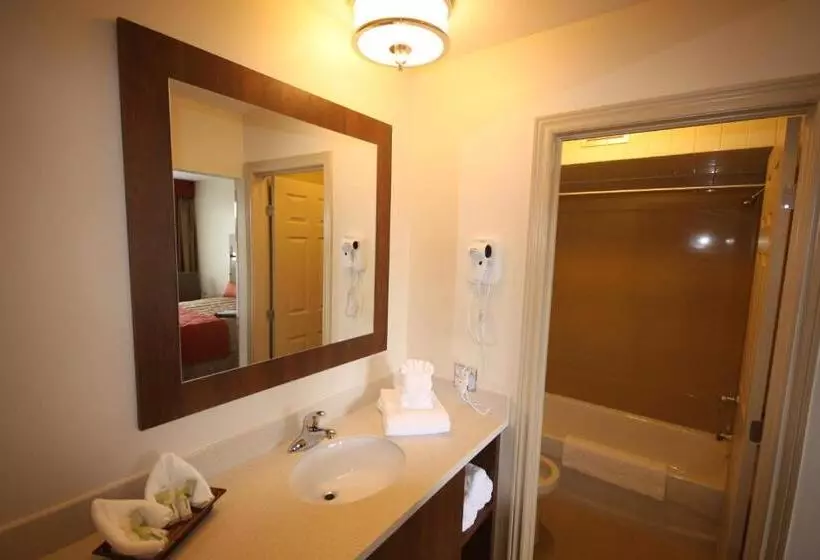 اتاق سوپریور, Motel Adam