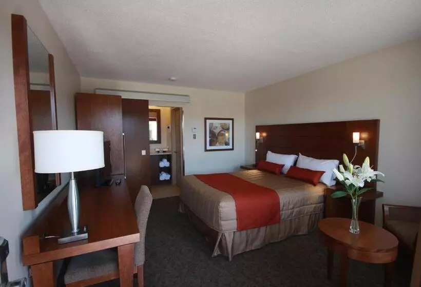 اتاق سوپریور, Motel Adam