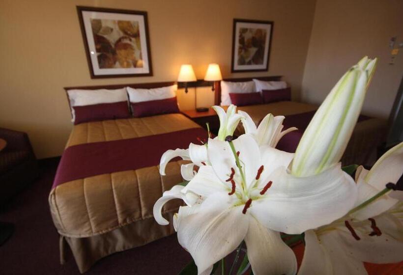 غرفه قياسيه سريرين مزدوجين, Motel Adam