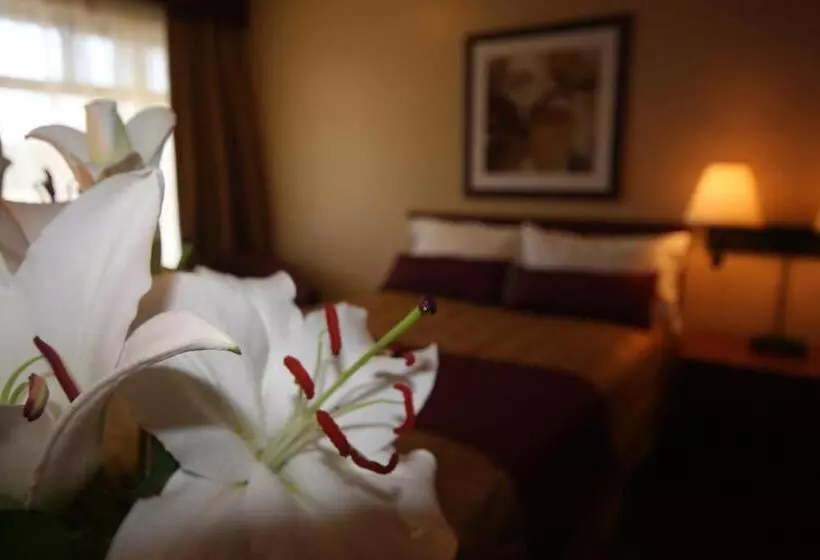 اتاق استاندارد با 2 تخت دوبل, Motel Adam