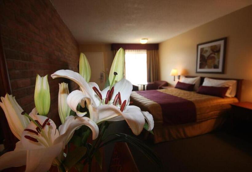 غرفة قياسية, Motel Adam