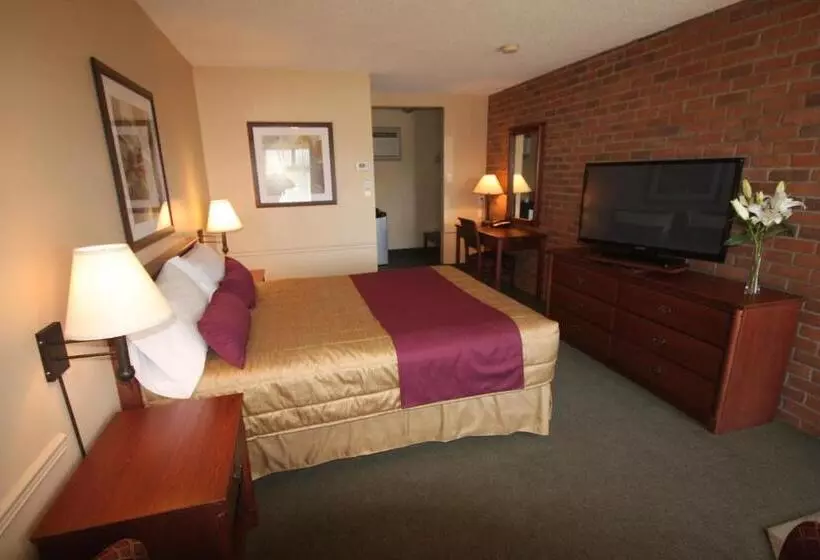 اتاق استاندارد, Motel Adam