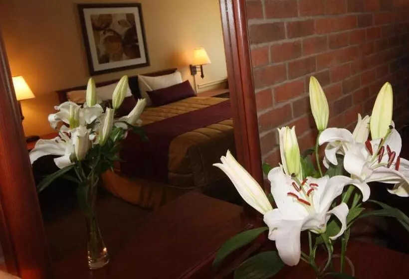 اتاق استاندارد, Motel Adam