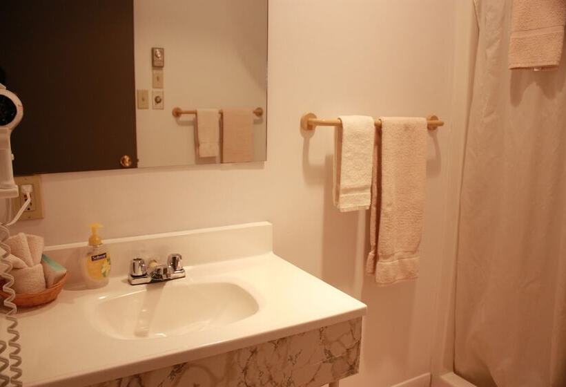 Номер Стандарт Двуспальная Кровать, Motel Le Radisson De Val David