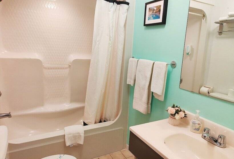 스탠다드 룸, Motel Le Radisson De Val David