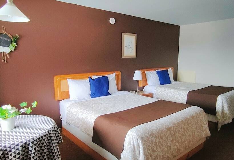 스탠다드 룸, Motel Le Radisson De Val David