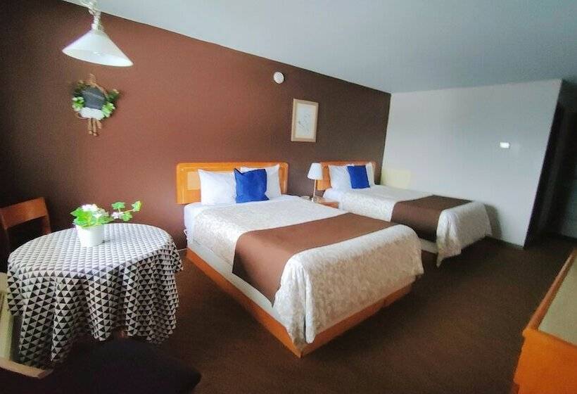 스탠다드 룸, Motel Le Radisson De Val David