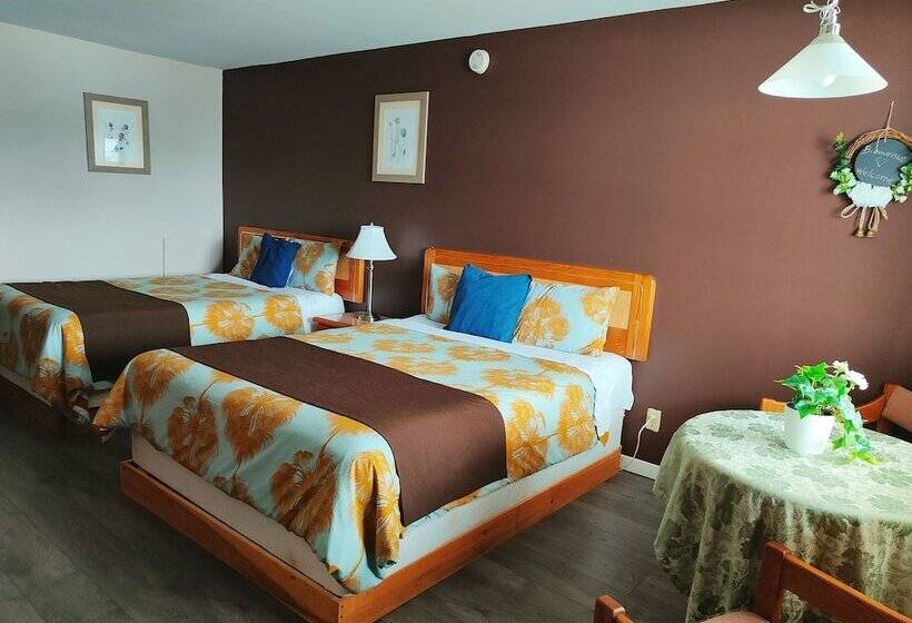 스탠다드 룸, Motel Le Radisson De Val David